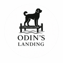 odinslanding's profile picture