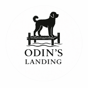 odinslanding's profile picture
