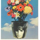 bizarre_media's profile picture