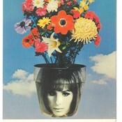 bizarre_media's profile picture