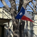 GREENow's profile picture