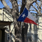 GREENow's profile picture