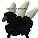 SagebrushMontana's profile picture