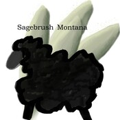 SagebrushMontana's profile picture
