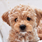 KarenG826's profile picture