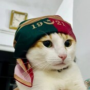 Deghima87's profile picture