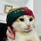 Deghima87's profile picture